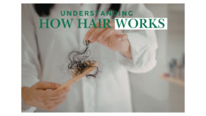 Understanding how hair works