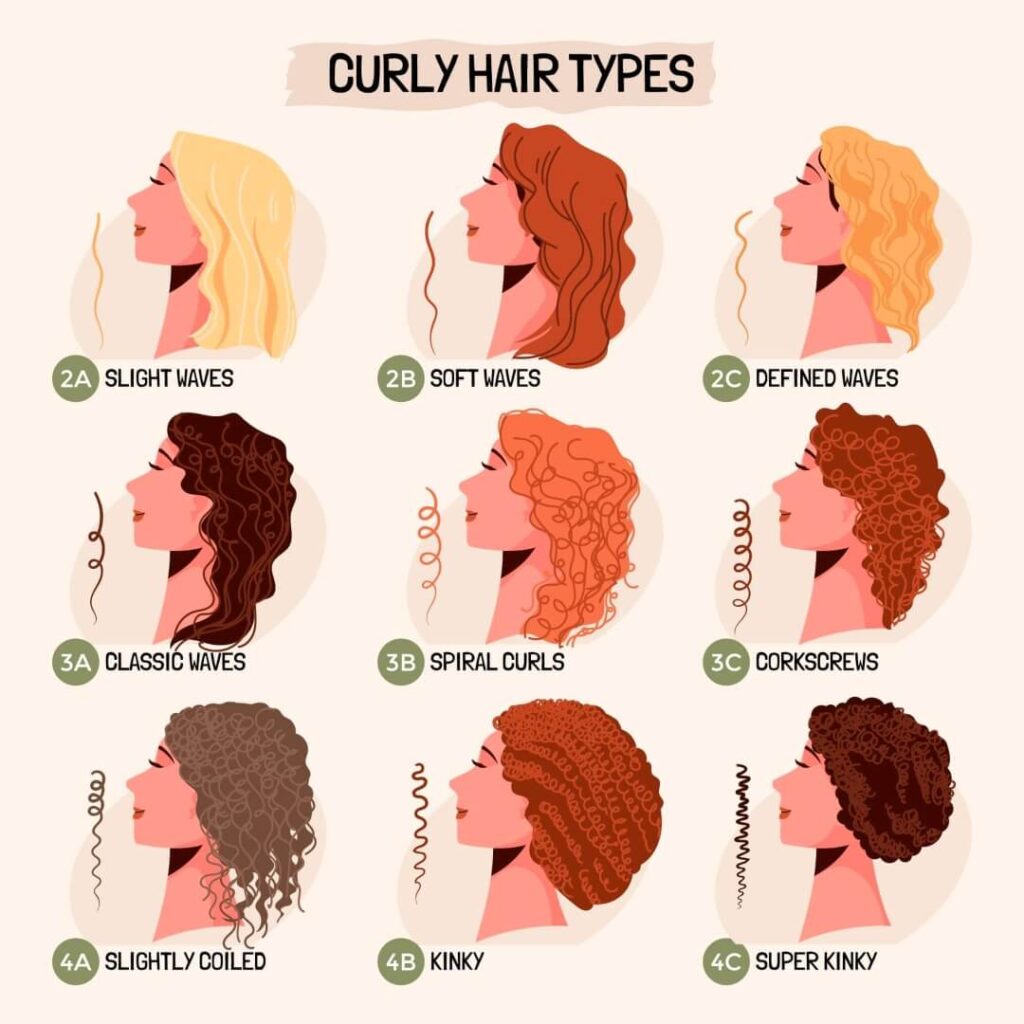 curly hair type chart